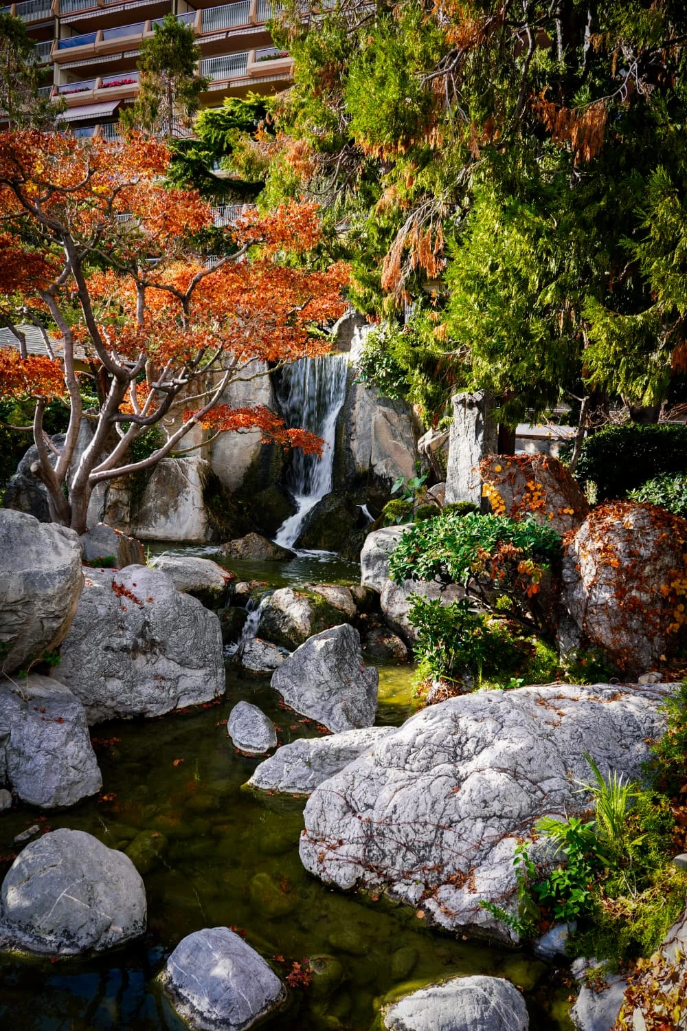 arboles.webp